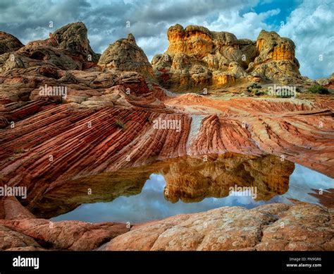White pocket arizona hi-res stock photography and images - Alamy