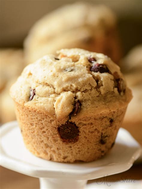 Gluten-Free Chocolate Chip Muffins (Dairy-Free) - MamaShire