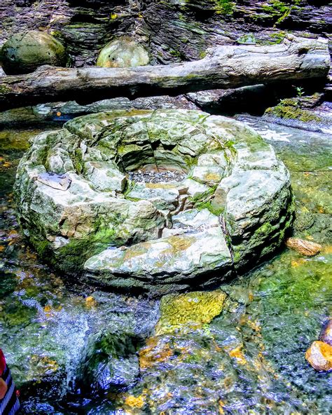 What are these HUGE balls I stumbled upon? Shale Hollow Park-Delaware ...