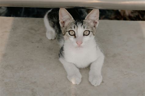 Panties+Down+And+Bend+Over Photos, Download The BEST Free Panties+Down ...