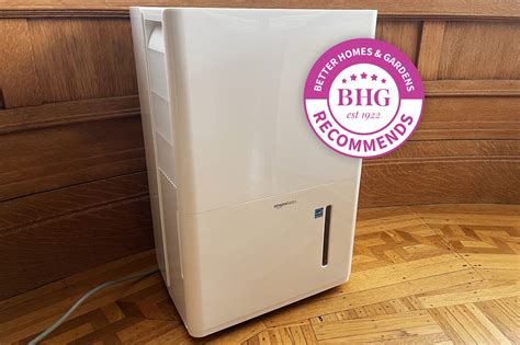 The 6 Best Dehumidifiers for Basements, Tested by BHG