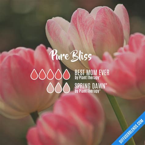 Meaning Pure Bliss at Malik Garcia blog