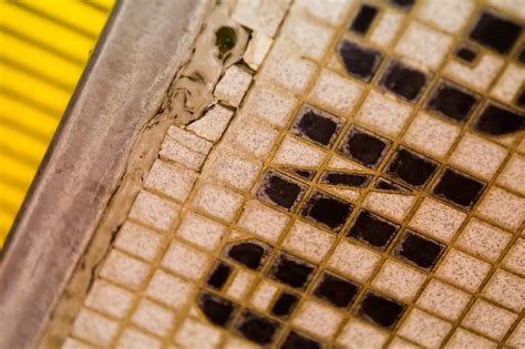 Pedro Cardona breaks 100 breaststroke record on the final day of the ...