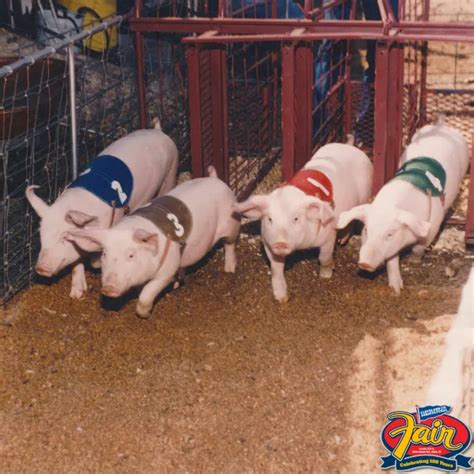 The Cleveland County Fair is coming up. Here's how it's changed