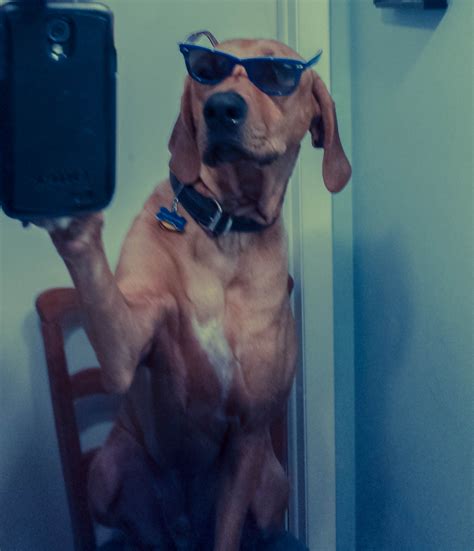 The Growing Narcissism of Selfies. – ThyBlackMan.com