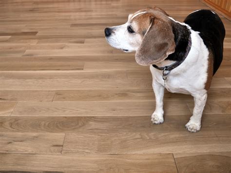 Barefoot Brand Hardwood Flooring – Barefoot Flooring is located in Troy ...
