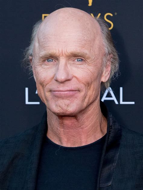 Ed Harris Tv Show