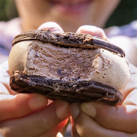 Tillamook Creamery Pet Policy