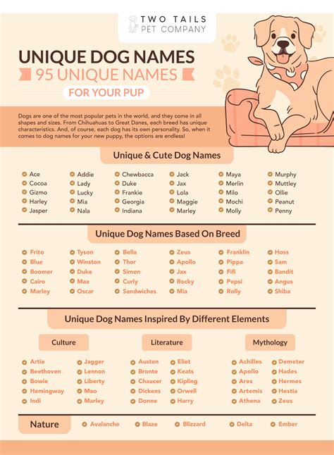 Modern Dog Names 100+ Best Unique Dog Names Cute And Unusual Names