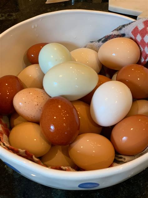 Ashacresamen - Farm Fresh, Dexter Cattle, Heritage Pigs, Farm Eggs