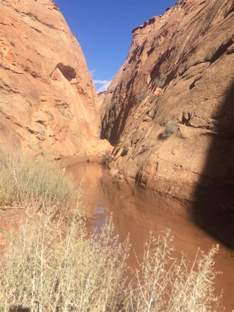 Main fork water 11/16 - Blue John Canyon - Robbers Roost - Road Trip Ryan