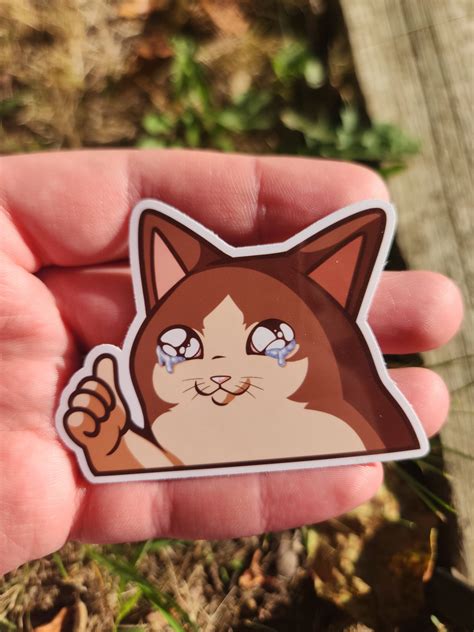 Crying Thumbs up Cat Meme Sticker - Etsy