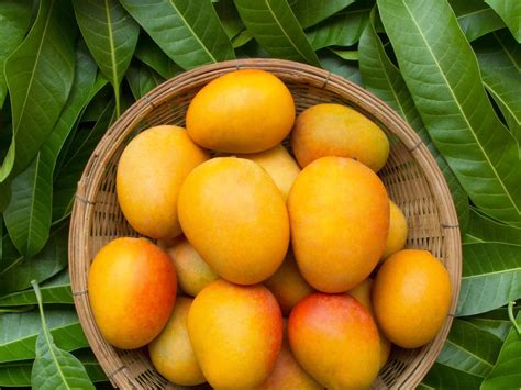 National Fruit Of India