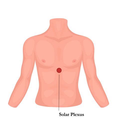 Solar Plexus - Netdoktor