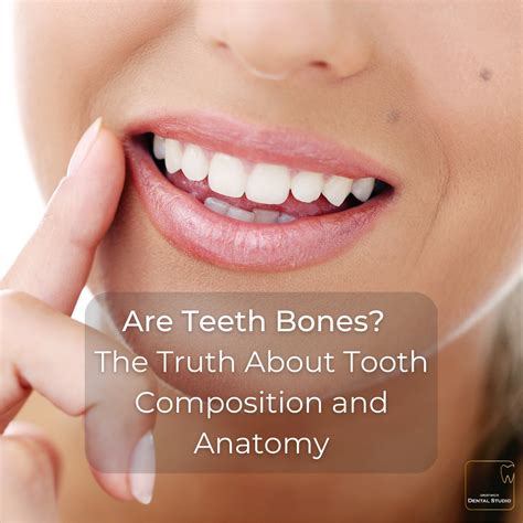 How Long Can You Keep Your Teeth With Periodontal Disease | Droitwich ...