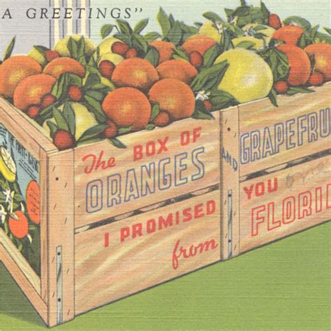 USF Libraries - University of South Florida Libraries Home