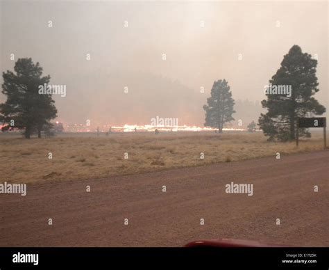The Apache-Sitgreaves National Forest in Arizona, site of the Wallow ...
