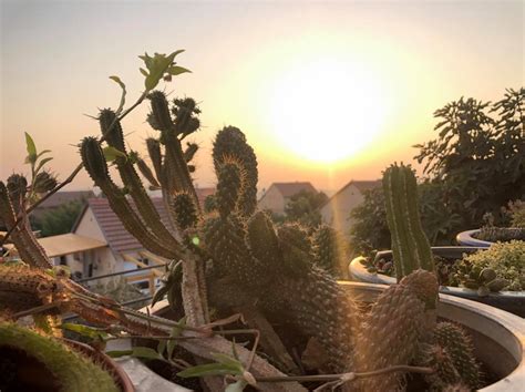 Shabbat Shalom - Chicago Jewish Funerals