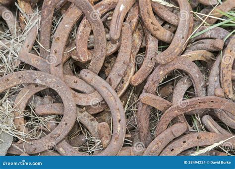 Rusty Rusted Horseshoes Old Pile Stock Photo - Image of mule, abandoned ...