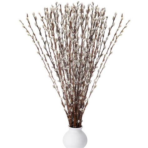 Amazon.com: Thiccywoov 20 Stems 31.5'' Real Dried Pussy Willow Branches ...