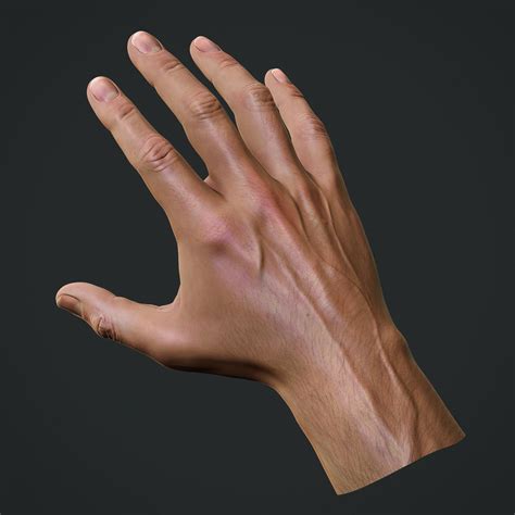 Hand 3D Model Poser at Tayla Hamlyn-harris blog
