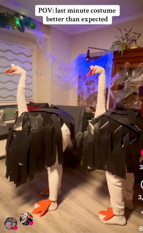 Ostrich Costume Diy
