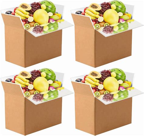 Amazon.com: 4 Pieces Insulated Shipping Boxes with Aluminum Foil Liner ...