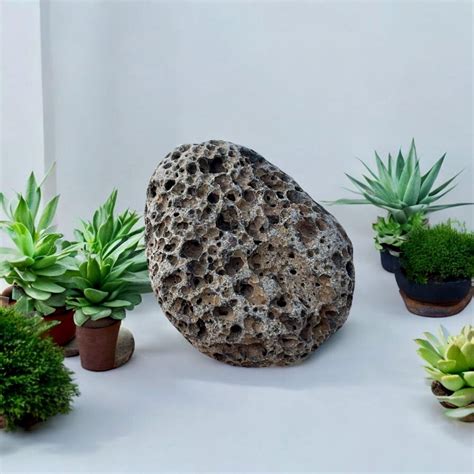 Linet Slag Exclusive Porn Videos