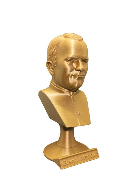 STL file Gregor Mendel Biologist "father of modern genetics" Bust・3D ...
