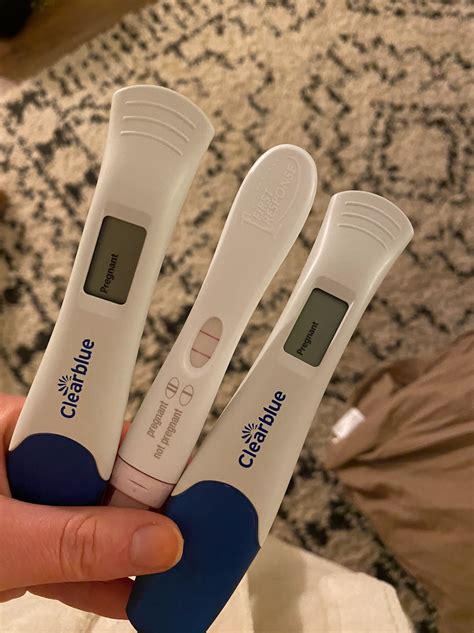 First Trimester Low Progesterone - The Homeblondy