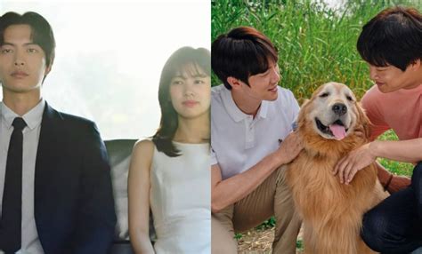 ‘Because This Is My First Life’, ‘My Heart Puppy’, and more: The best K ...