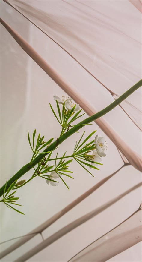 How Does the Experience of "Sublime" Awe, Which Includes an Element of Fear, Affect Brain ...