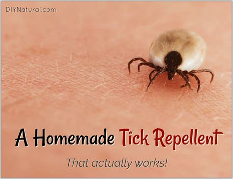 What Kills Ticks On Dogs Instantly