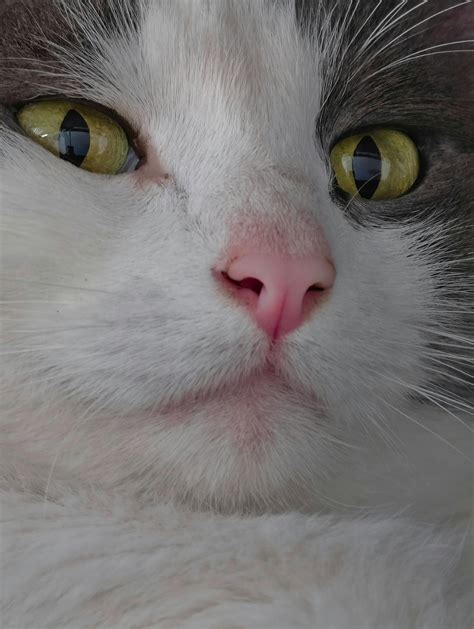 Gratuitous+Nudity+In+Anime+Compilation Photos, Download The BEST Free ...