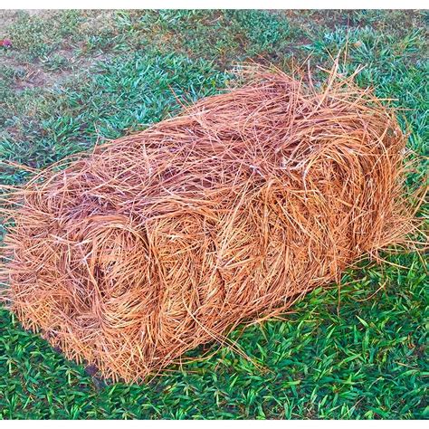 Pine Straw - Pine Needle Mulch - Covers 65-80 Sqft (1) - Walmart.com