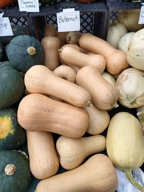 Honeynut Squash vs Butternut Squash - Eat Like No One Else