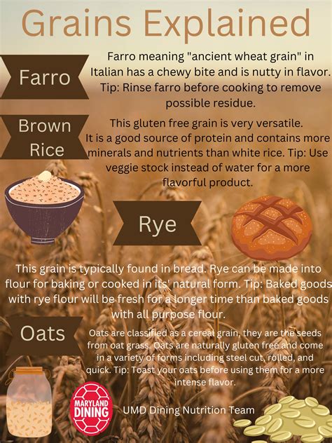 Tip of the Month | Jan. 2023 | UMD Dining Services