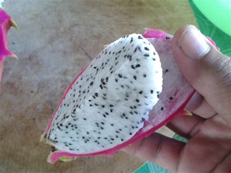 Show, How to eat Dragon Fruit Raw Without Spoon - Aerk Dragon Fruit