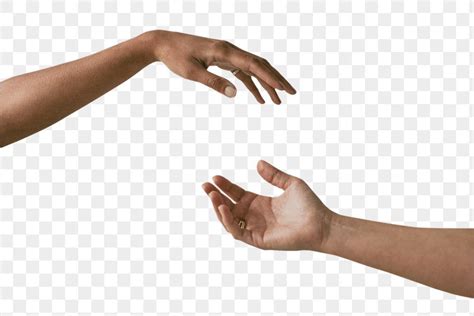 Download free png of Women's hands png reaching for each other ...