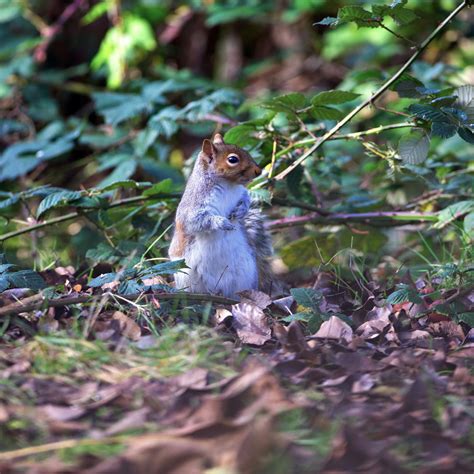 Moms+Nude+Watching+Omegle Photos, Download The BEST Free Moms+Nude+Watching+Omegle Stock Photos ...