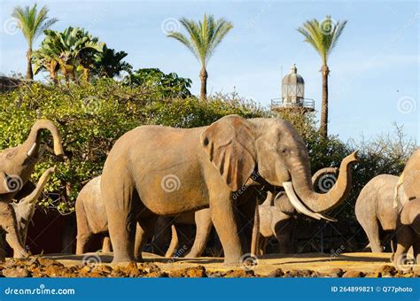 BENALMADENA, SPAIN - 21 NOVEMBER 2022 Roundabouts of the Elephants in ...