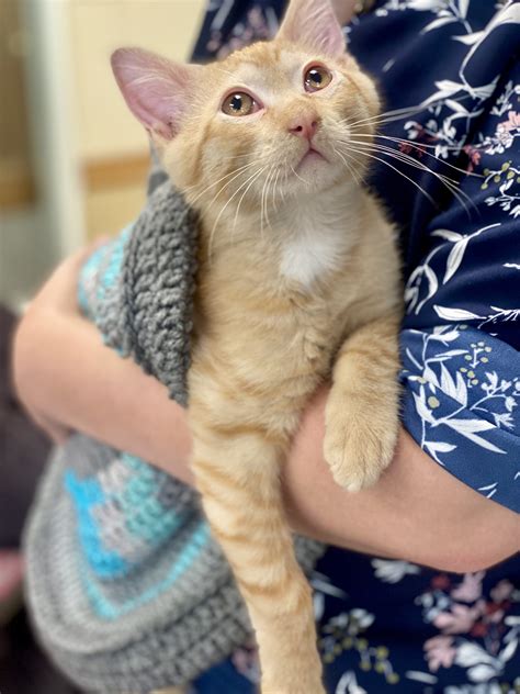 Photo Gallery | Mt Baker Care Center