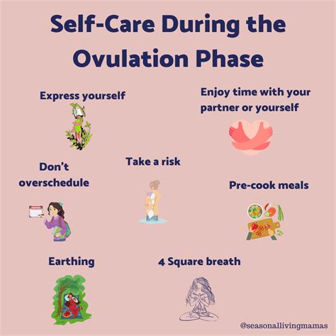 Self-care with your ovulation Phase of your cycle ⋆ Andrea Claassen ...