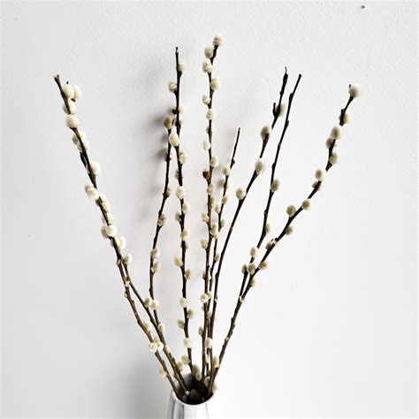 Pussy Willow Stems, Spring Stems, White Pussy Willow, Home Decor Flower ...