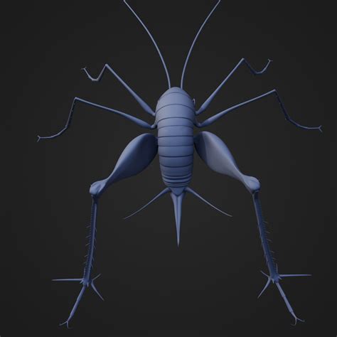 STL file Camel Back Cricket・3D printing template to download・Cults