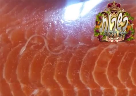 How do you get rid of parasites in salmon? [2025] | QAQooking.wiki