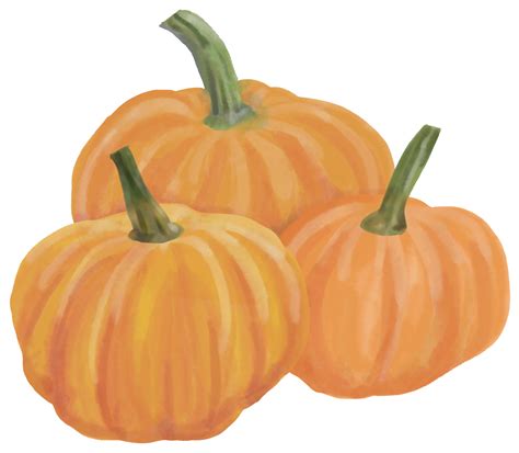 watercolor painting of pumpkin vegetable. 11793569 PNG