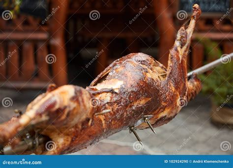 Rabbit on a Spit on the Grill Roasts Stock Photo - Image of grilling, grilled: 102924290