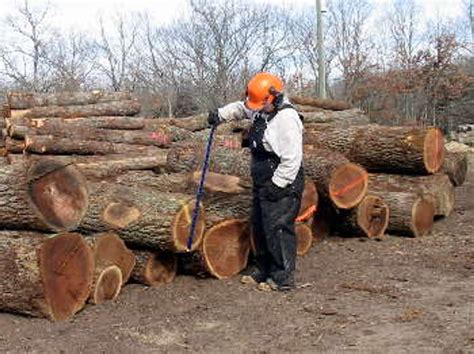 Logrite 36" Scribner Decimal C Log Scale - Northern Woodsmen