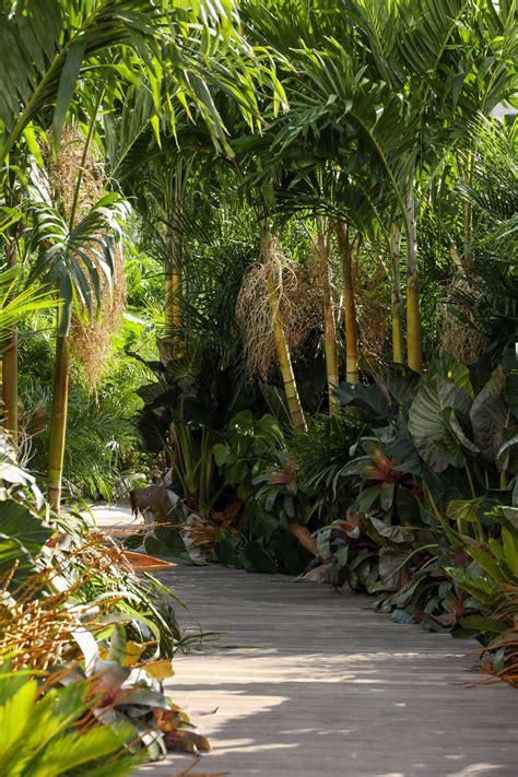 JASON WU RUNWAY - SS 21 - Emily Thompson Flowers